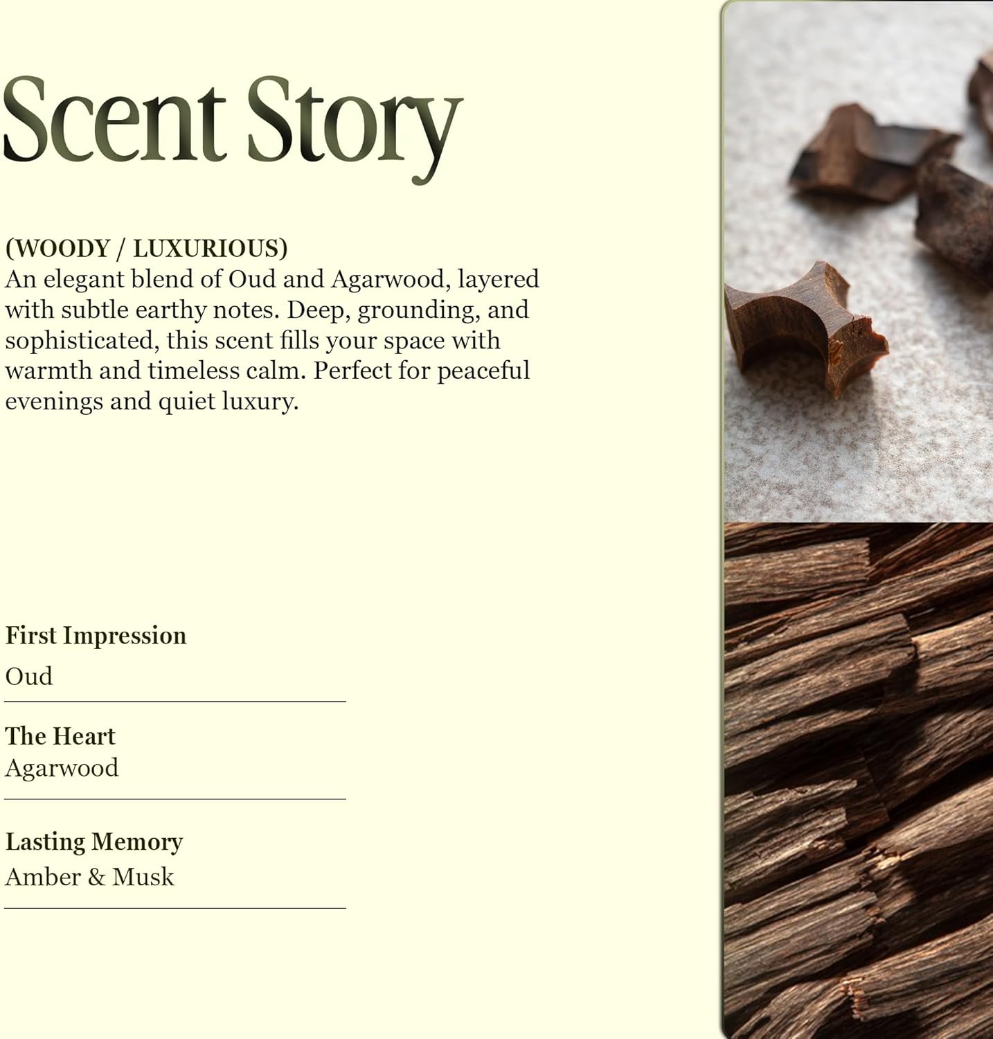 Scented Luxury Candles in Handmade Ceramic Jars, Soy Wax | Woody Wood – Oud & Agarwood, Large Candle | Non Toxic, 2 Wicks, Reusable Big Olive Green Jar | Natural Spring Aromatherapy for Women & Men