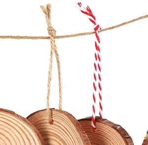 30 Pcs Wood Slices for Crafts, 1.57"-2" Pre-Drilled Holes Wood Rounds, 66 Feet Twine String, Wooden Circles for Crafts Burning Painting DIY Crafts Christmas Wedding Party Wedding Decor Party