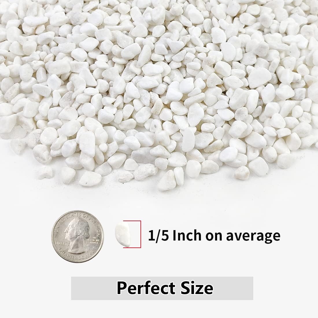 10LB Succulent and Cactus Gravel, 1/5 Inch White Natural Decorative Polished Pebbles for Landscaping, River Rocks for Plants, Vases, Aquariums, Terrarium and Outdoor Gardening