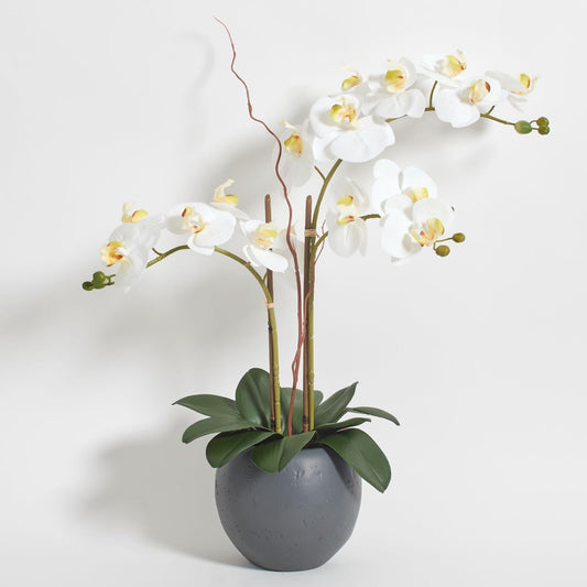 Faux White Orchid Plant, Premium Artificial Indoor Flower Display Stands 25-Inches with Beautiful Sculptural Blooms and Foliage That Lasts Forever, Grey Planter Pot Included
