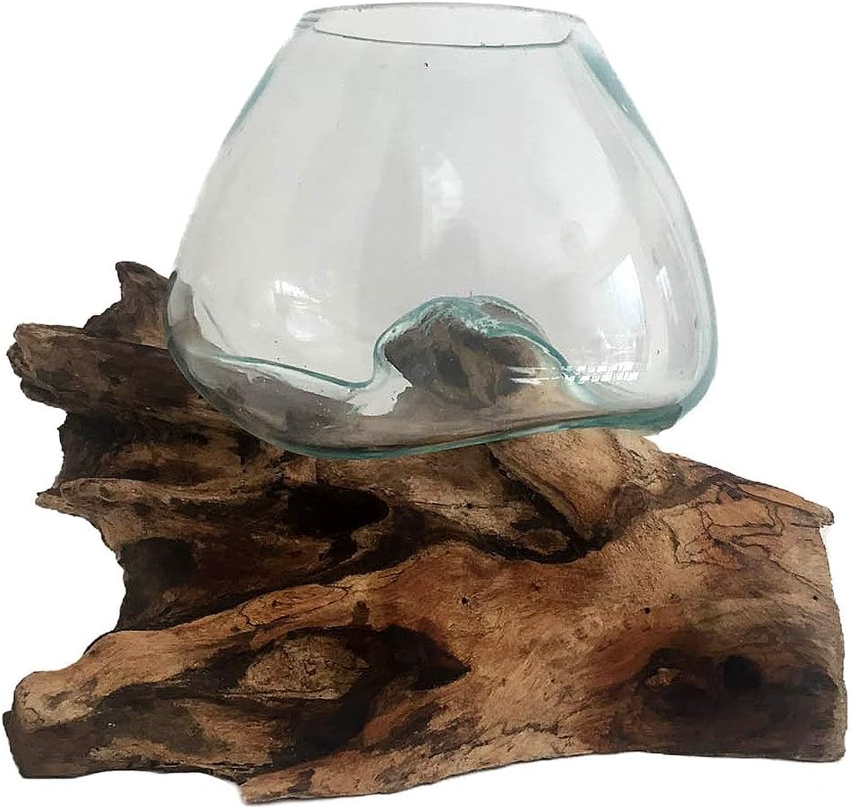 Hand Blown Molten Glass & Teak Wood Terrarium/Vase/Fish Bowl - Premium Quality (7" - 9" High)