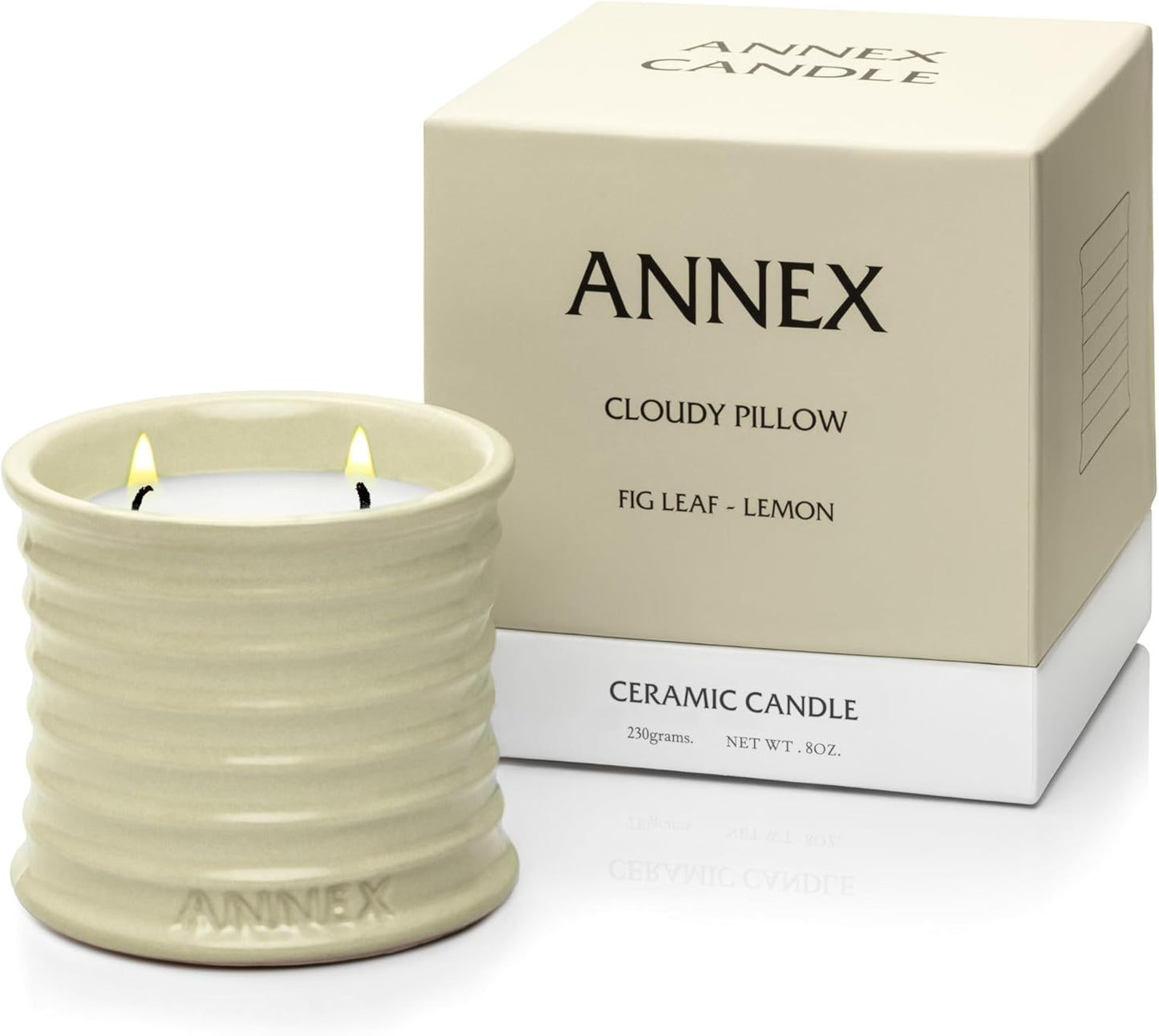 Scented Luxury Citronella Candles outdoor, Mosquito Bug Repellent | Handmade Ceramic Jars, Soy Wax | Cloudy Pillow - Fig Leaf & Lemon, Large Natural Candle | Non Toxic, 2 Wicks, Reusable Big Beige Jar