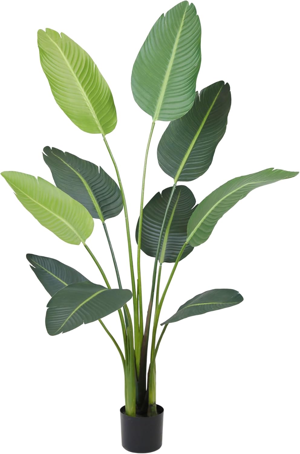 Worth Garden 59in Artificial Bird of Paradise Plant 4.9ft, Large Faux Tropical Tree for Office and Home, Lifelike Greenery for Indoor and Outdoor Spaces