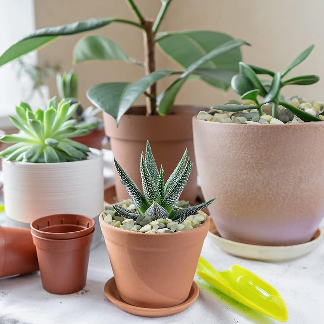 2LB Succulent and Cactus Pebbles, 1/5 Inch Jade Natural Decorative Polished Stones, River Rocks for for Indoor Plants, Vases, Planters and Outdoor Gardening