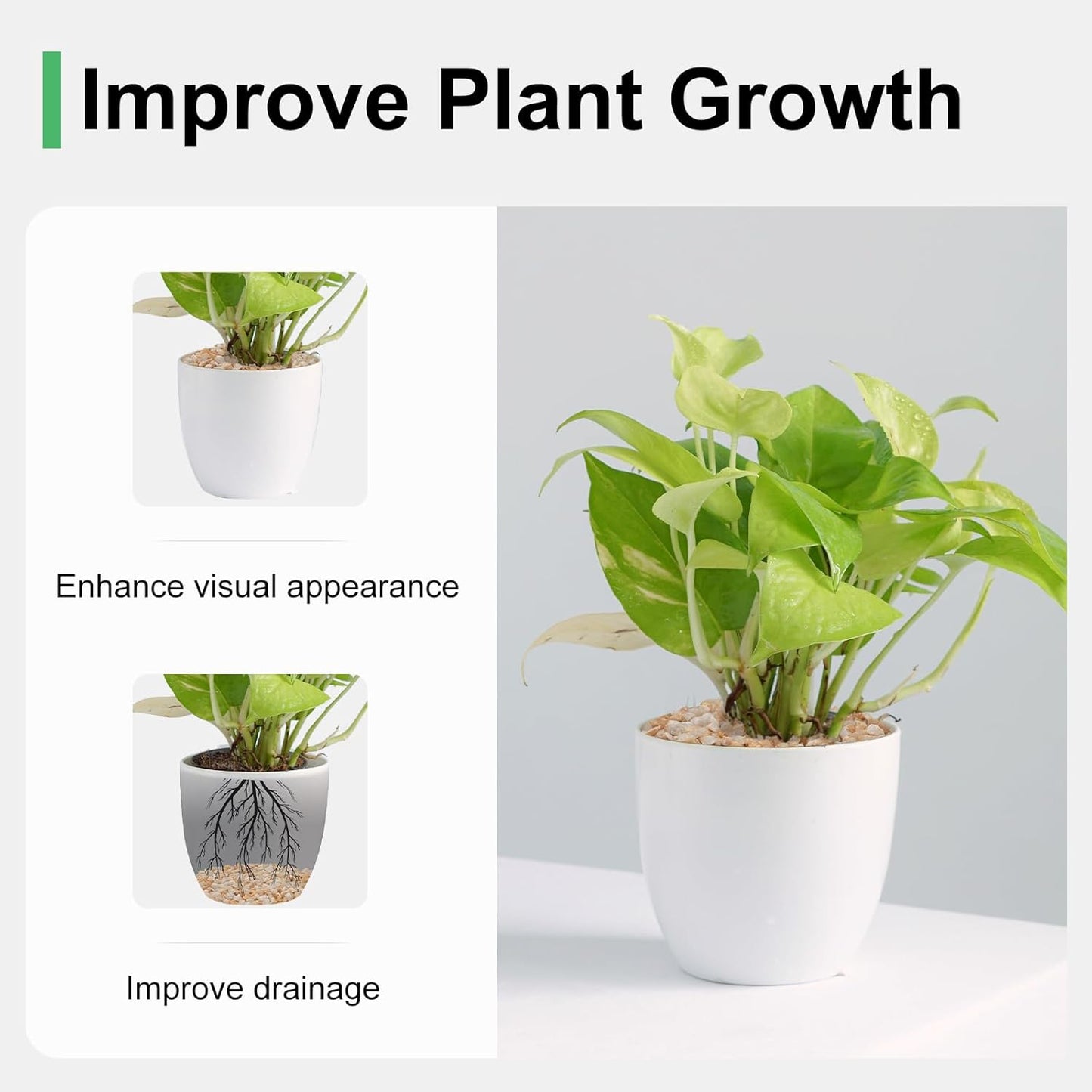 2.5 lbs Coarse Silica Sand for Indoor Plants, 1/5 Inch Natural Decorative Gravel for Vases, Aquariums, Terrarium, Fish Tank, Drainage Rocks for Potted Plants, Bamboo, Succulent, Crafts, Cactus