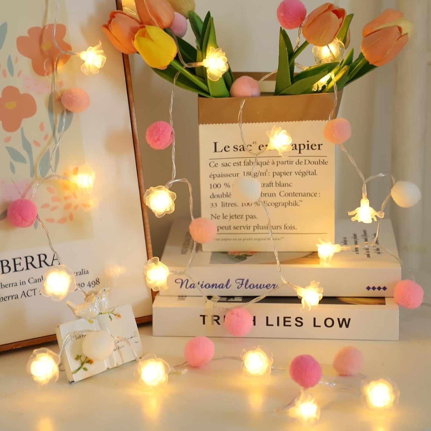 9.85Ft String Lights 20 Cute Pink Pompoms 20 LEDs Rose Fairy Lights Garland Battey Operated with Timer Flower Lights for Bedroom Kids Room Party Birthday Wedding Valentines Decorations