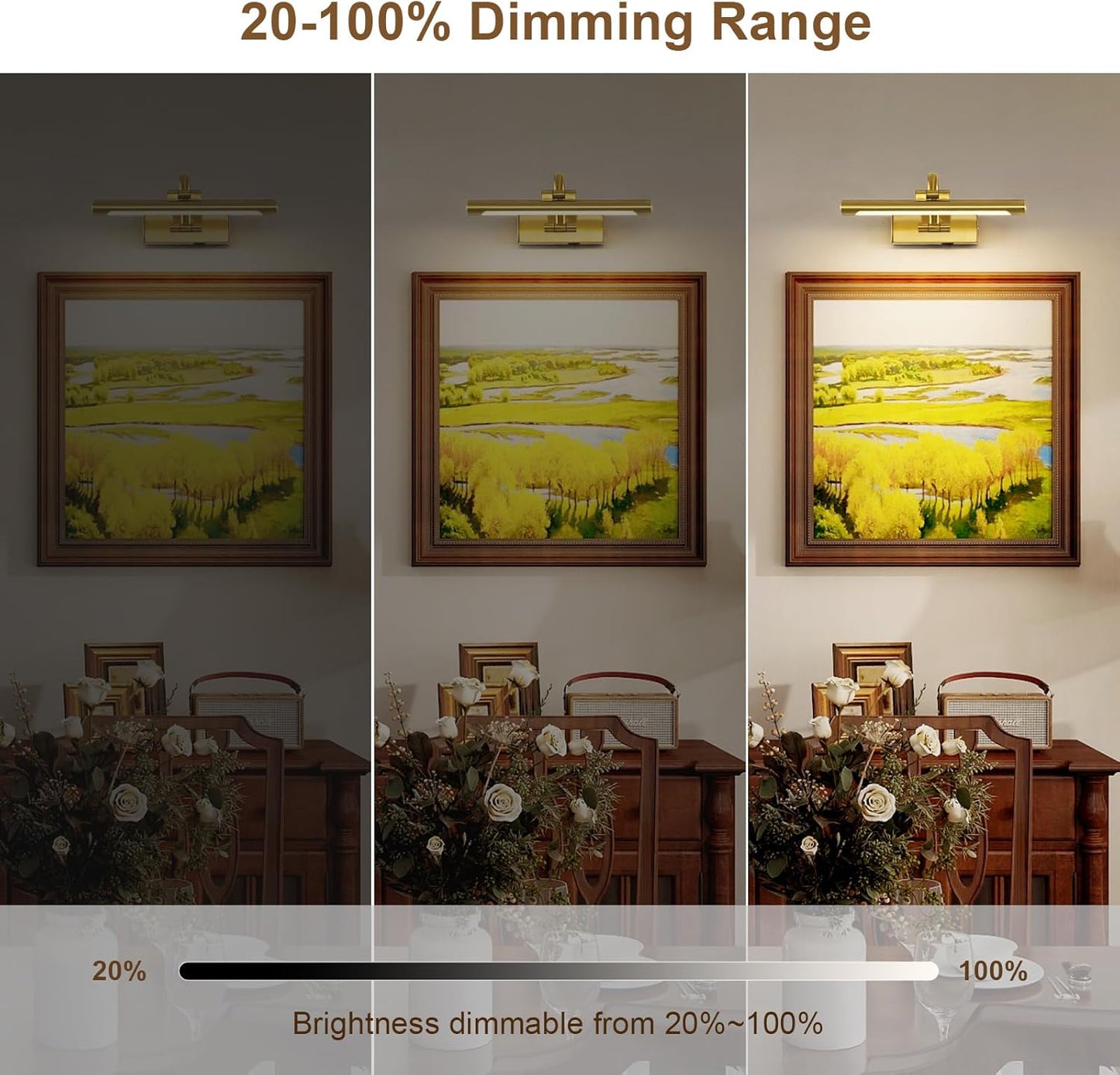 Wireless Picture Lights for Wall Rechargeable Brass Gallery Lights Battery Operated Art Lamps with Remote and Timer Dimmable Painting Lights for Artwork Portrait Display 12 Inch 2W 2700K