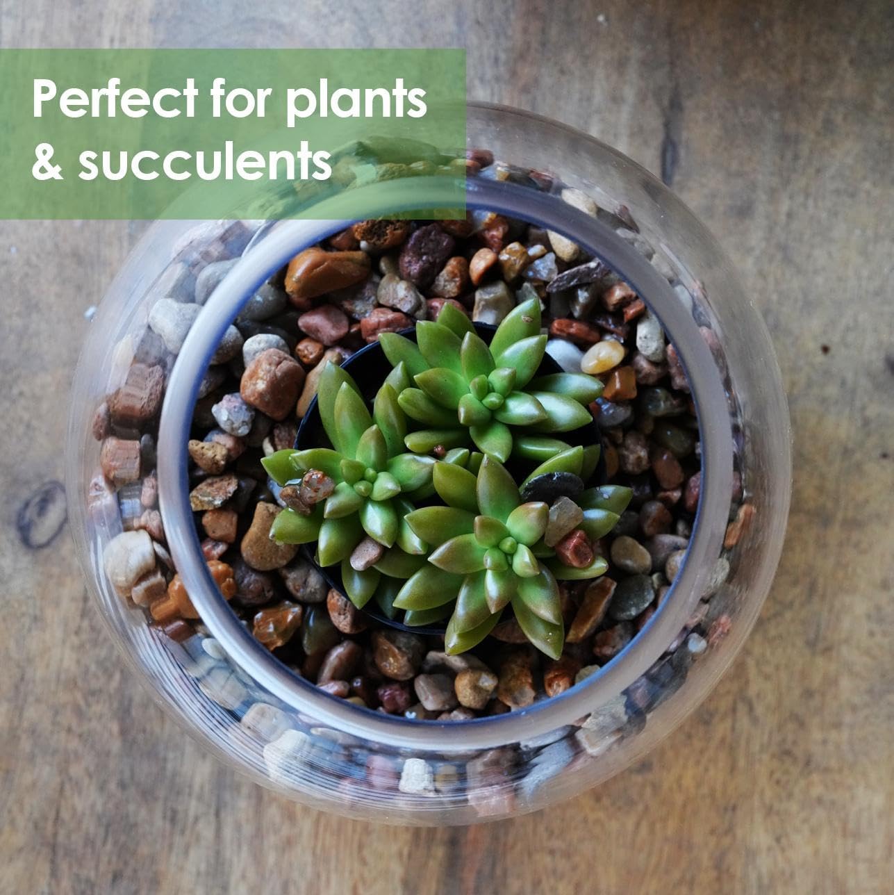 Craft And Party, Glass Bubble Vase, 6" Height x 8" Width, Set of 4 Glass Fish Bowl Vase, Bubble Bowl vase for Terrarium, Flower Vase Centerpiece