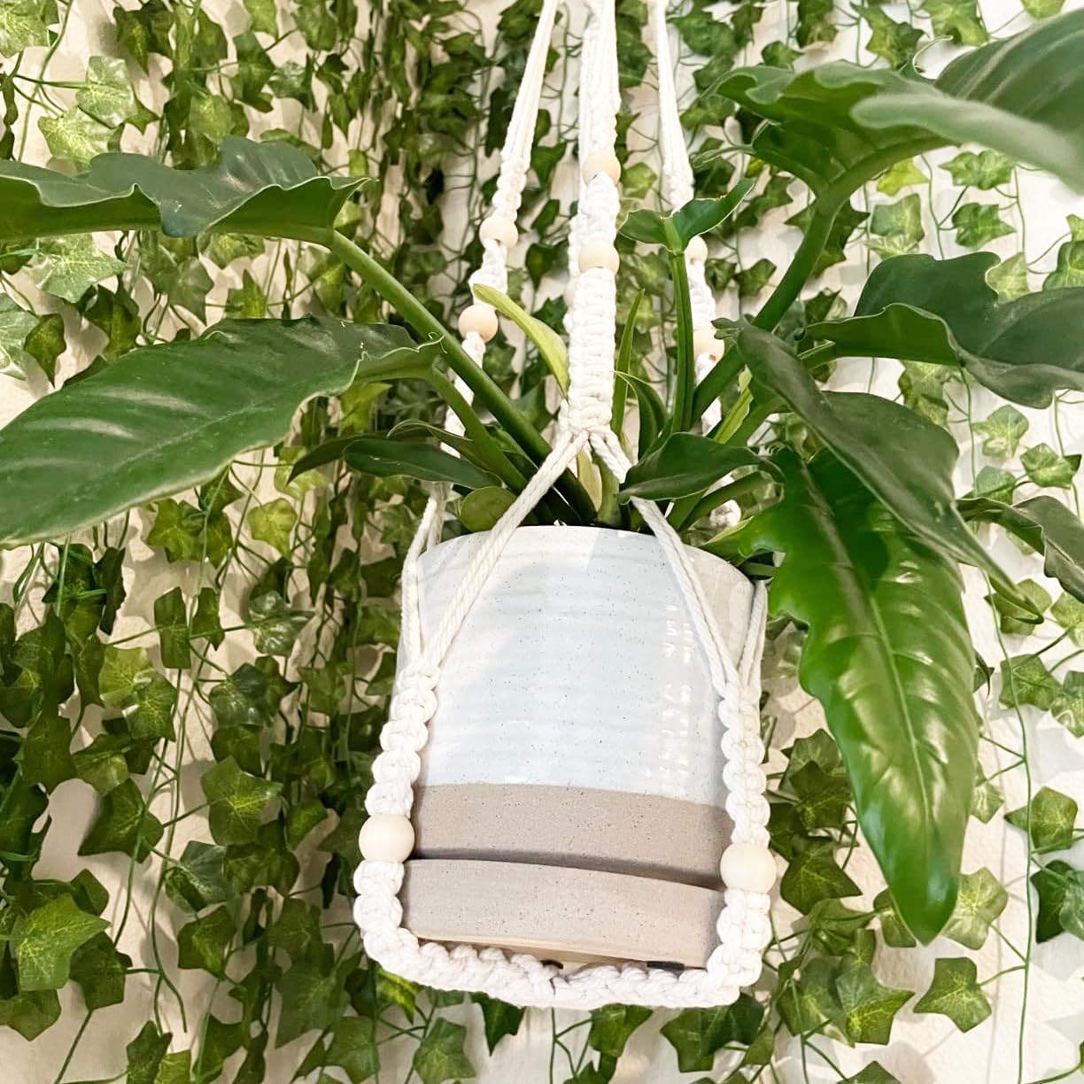 6 Inch Plant Pots, Ceramic Planter Pot with Drainage Hole & Saucer, Indoor/Outdoor Cylinder Round Planter Pot, White & Beige Glaze