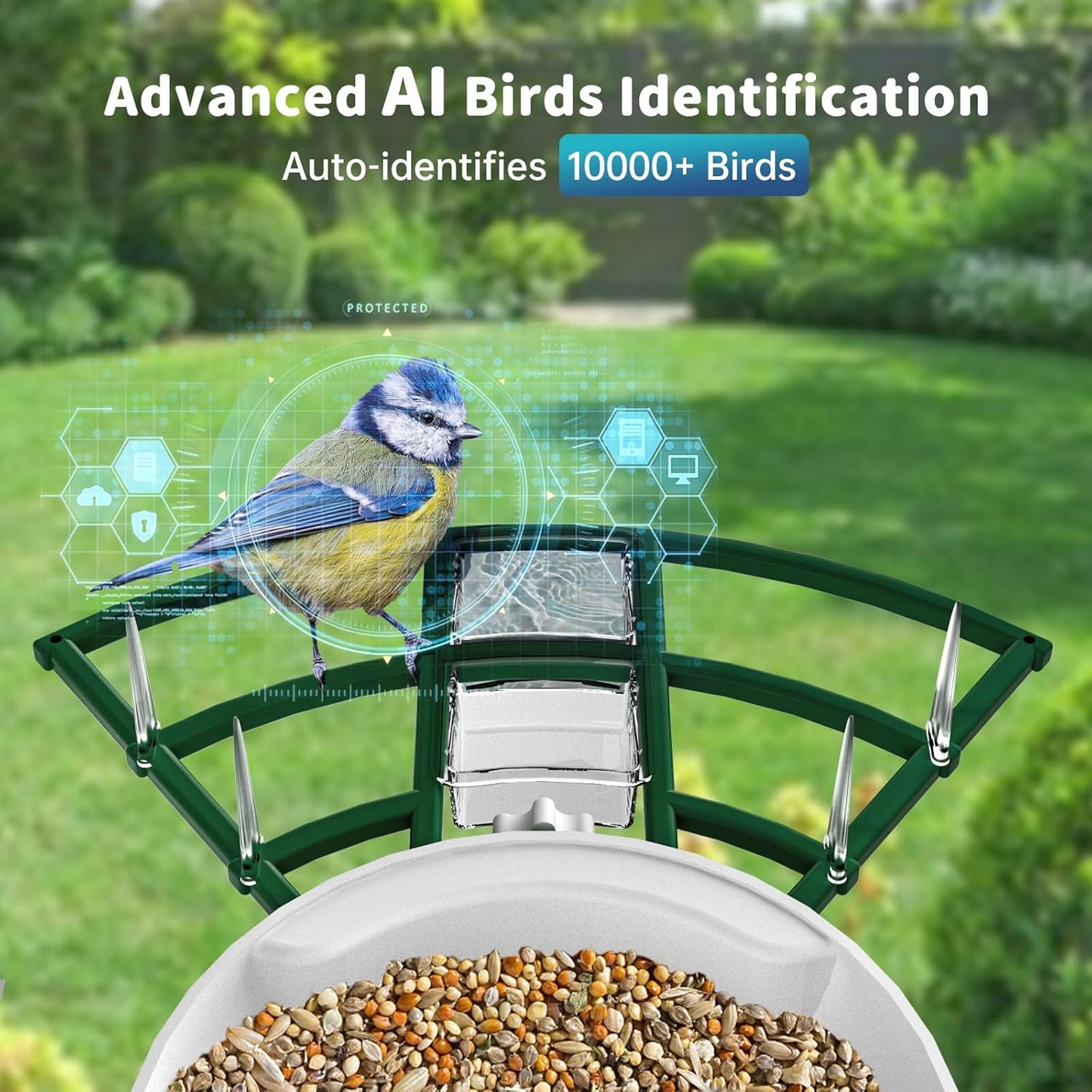 Smart Bird Feeder with Camera Solar Powered & AI Bi rd Identification, 2.4Ghz WiFi Bird feeders for Outdoors, 2K Live Video, Nstant Arrival Alerts - Best Gifts for Bi rd Lovers - Green