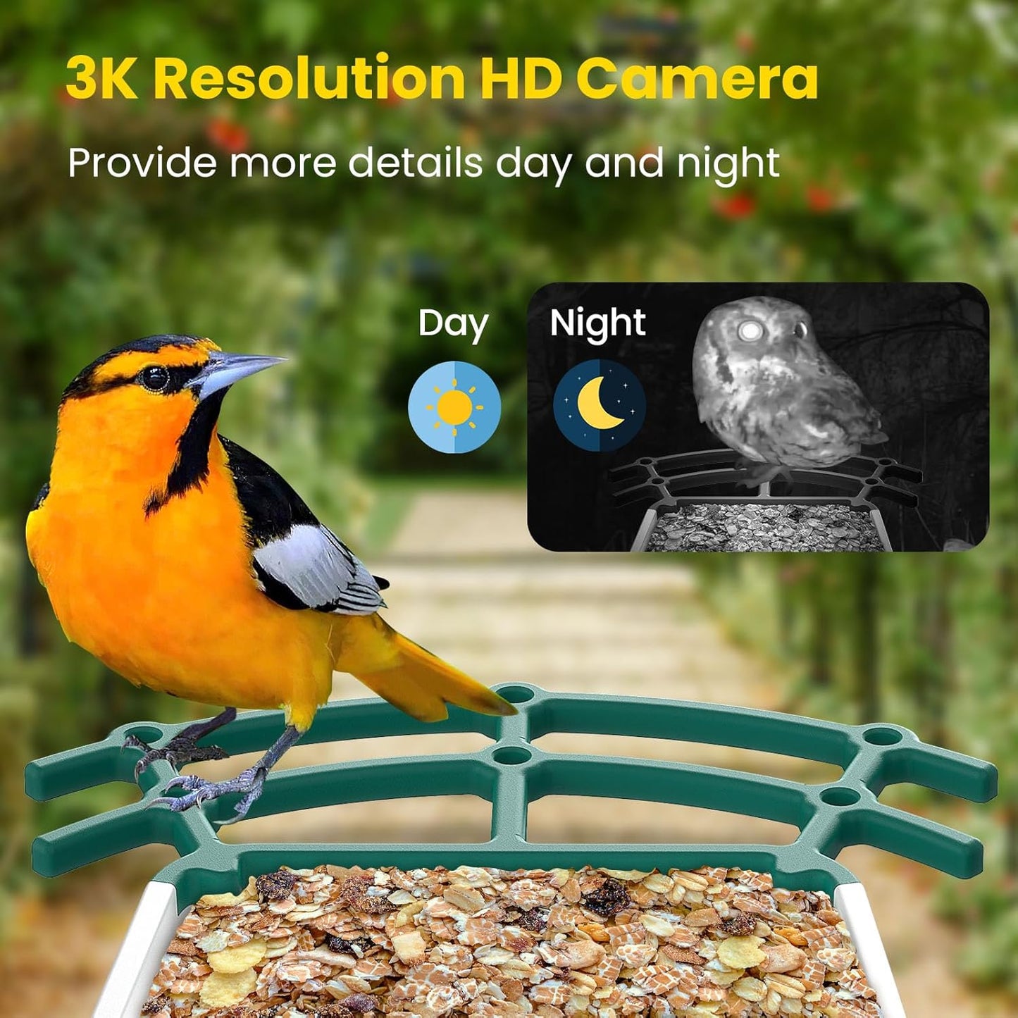 Bird Feeders for Outdoors, Smart Bird Feeder with Camera Solar Powered, AI Species Identification, 3K Video Live Stream Camera, 5Mp HD Night Vision, Instant Arrival Alerts