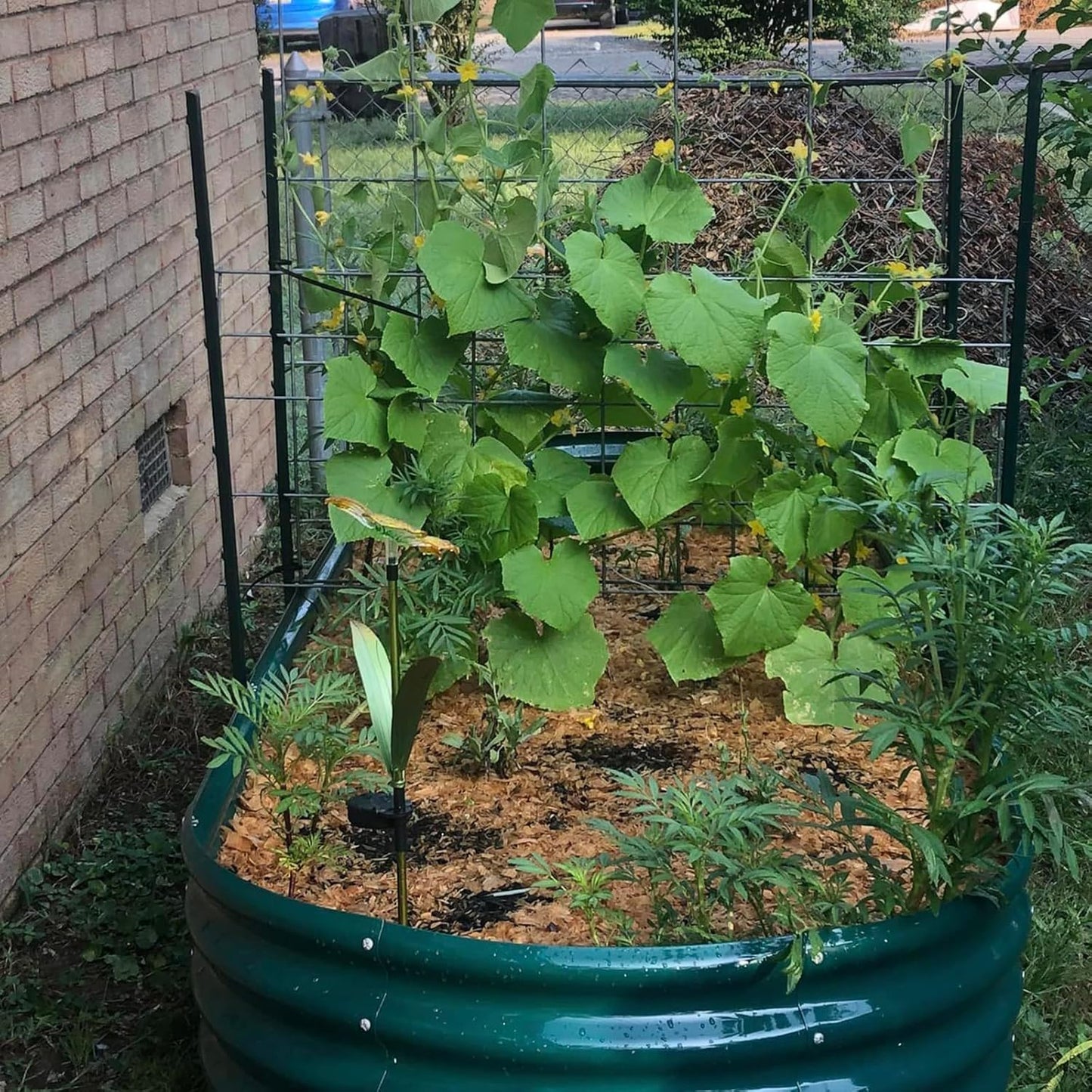 2 Pack 8x4x1FT Galvanized Raised Garden Bed Kit Oval Metal Ground Planter Box Outdoor Bottomless Planter Raised Beds for Vegetables Flowers Herbs Fruits, Green