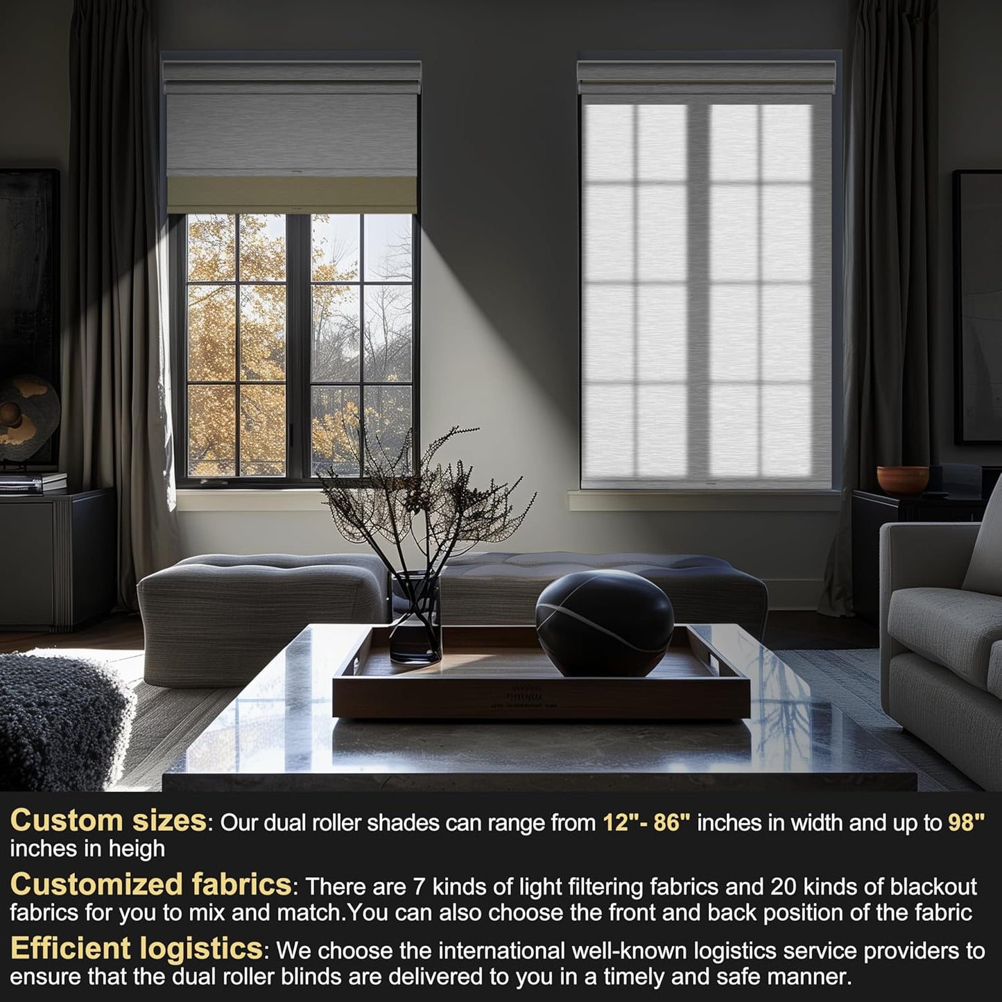 BERISSA Cordless Double Roller Shades with Valance, Blackout and Light Filtering - Day and Night Shades for Home Office Door. Beige and White. 43 W x 56" H