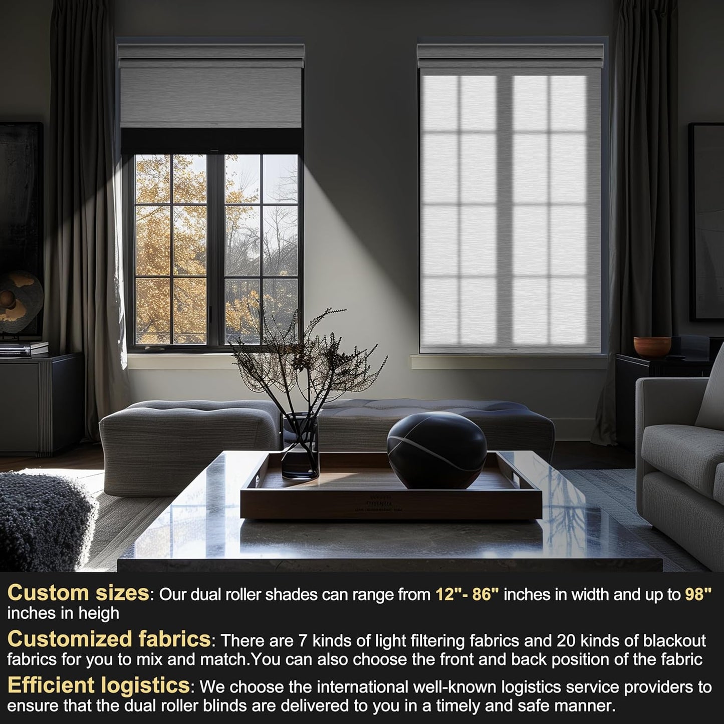 BERISSA Cordless Dual Roller Shades With Cassette Valance, Blackout and Light Filtering, Day and Night for Home Office Door - Linen Black and White, 64 W x 64" H