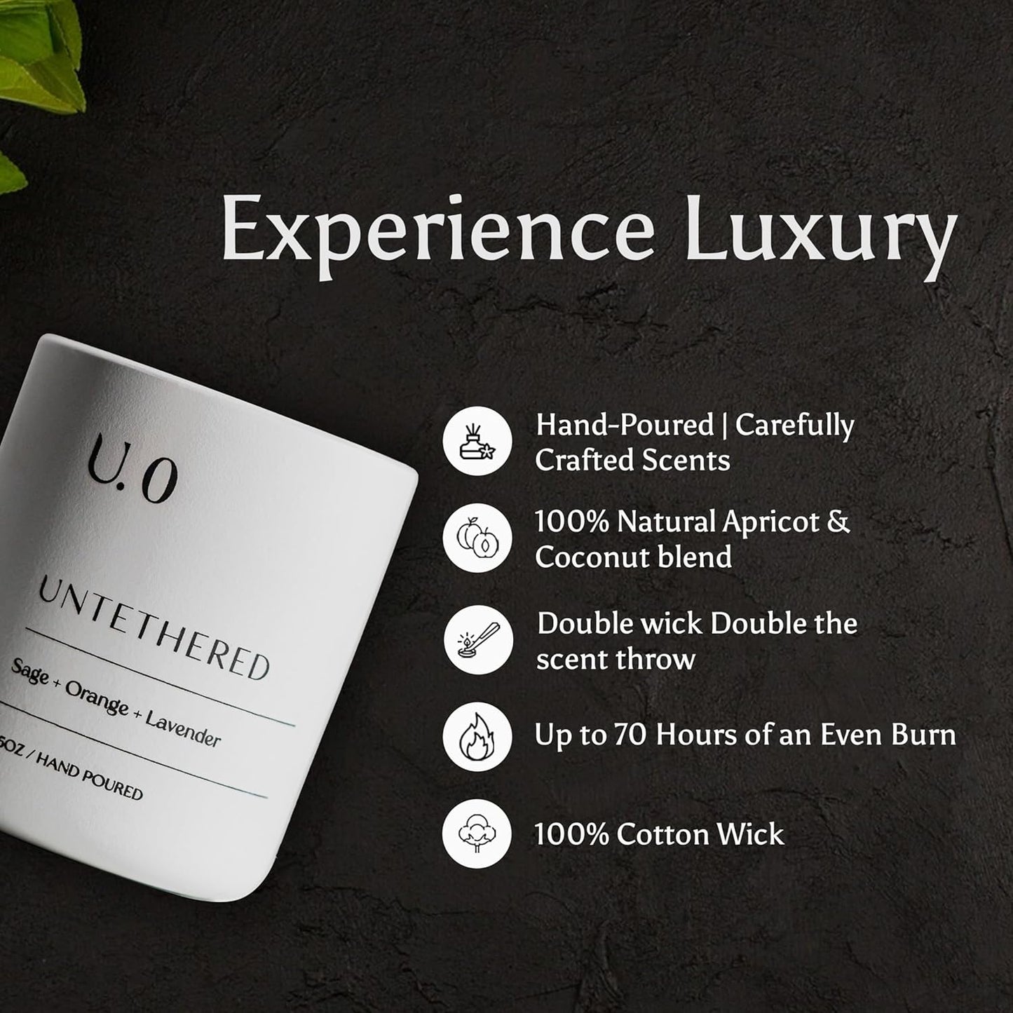 U.0 Luxury Scented Candle – Sage, Orange & Amber | Hand-Poured in USA with 100% Natural Coconut & Apricot Wax | Double Wick, Long-Lasting Aromatherapy Candle for Home, Gift & Relaxation (12.5 oz)