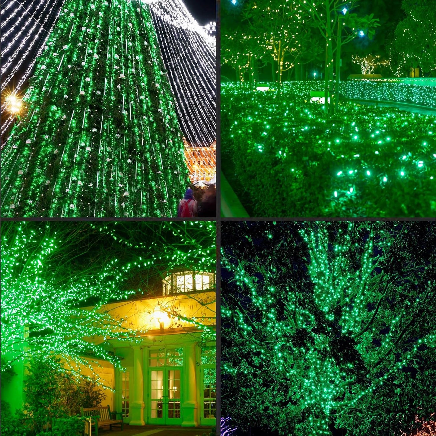50LED String Lights,LED Christmas Lights,6" SPACING,Green Wire,Green Colour,Commercial Grade