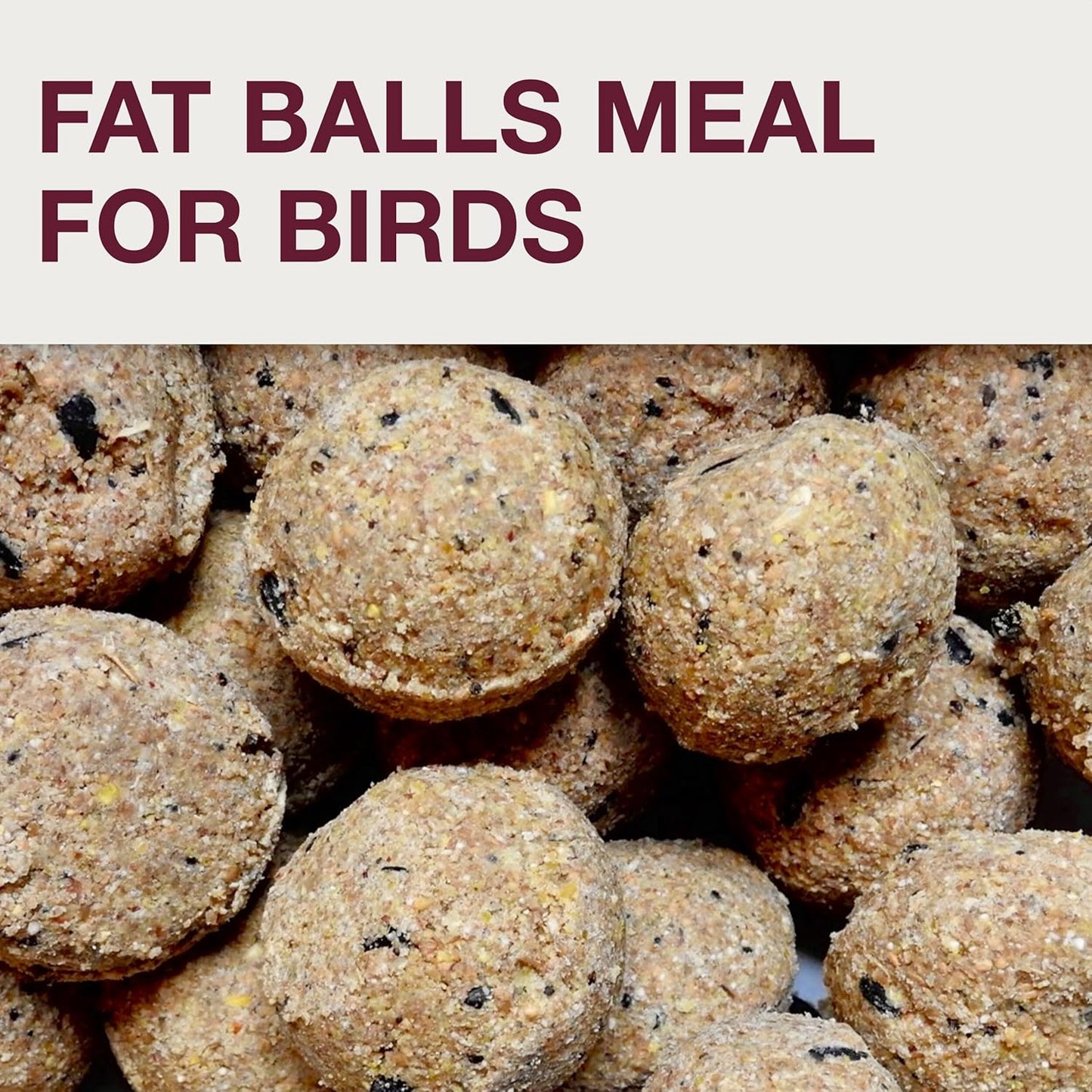 SWISSINNO No Mess Bird Feeder Lucerne Smart Birds for Fat Balls - Feed Birds, not mice & Rats! Robust & Reliable for Hanging - Light Grey