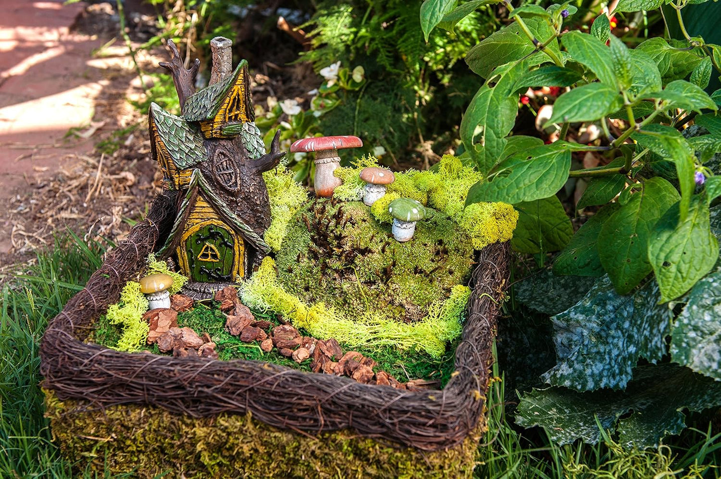 SuperMoss (50310) Fairy Garden Kit, Mixed Mosses, 4 oz., Multicolor